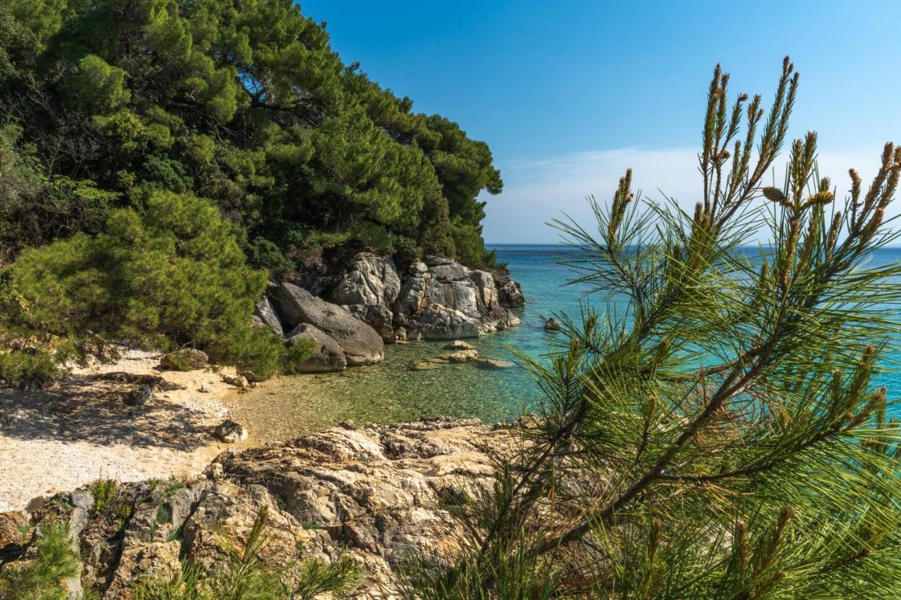 Galapagus Privat Beach & Boat Dock Apartamento Metajna Exterior foto